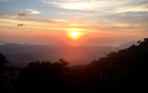 Langkawi Mountain Rainforest Sunset Wildlife Tour
