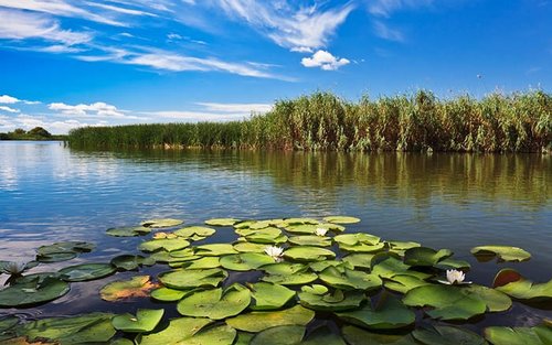 Tulcea Duna-delta Egész napos Nemzeti Park túra