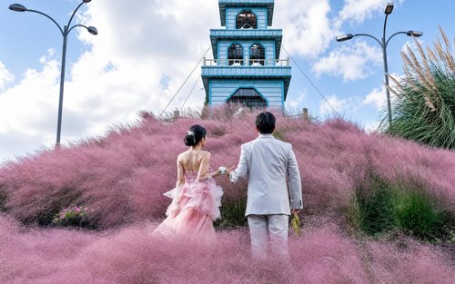 Jeju 2-Day Island Highlights Tour with Seasonal Flowers