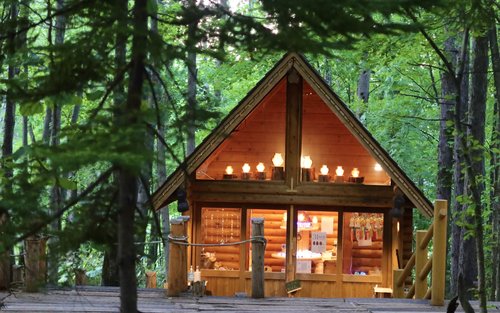 Excursion d'une journée à la Terrasse des Fées de la Forêt, à la Ferme Tomita, à l'Étang Bleu de Biei et à Shikisai no Oka (petit groupe raffiné, départ de Sapporo)
