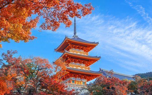 Kyoto Kiyomizu-dera, Fushimi Inari-taisha, Arashiyama Tour