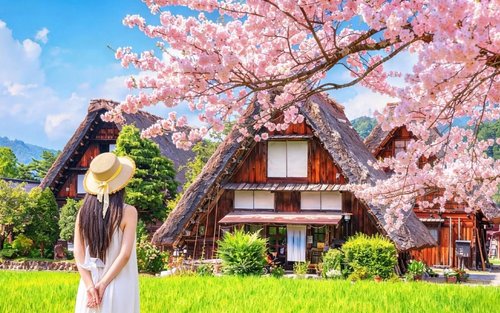 Hida Takayama & Shirakawa-go Gassho Village Day Trip (Departure from Nagoya, optional tour including observation deck)