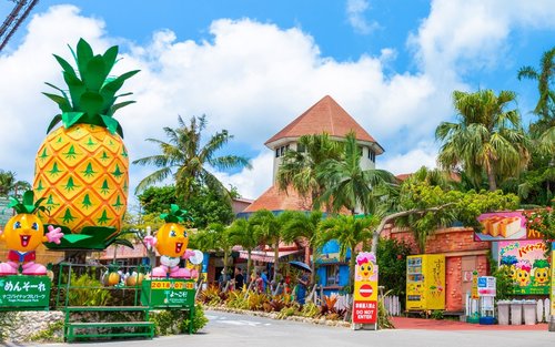 Vé Công Viên Dứa Nago ở Okinawa