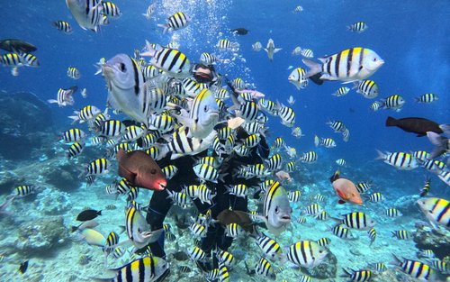 Taitung: Green Island Huwanggiao Snorkeling at Paglalakbay sa Pagsisid