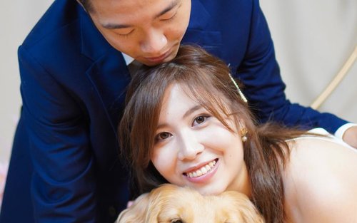 Hong Kong Kwun Tong Pet Photography (STUDIO)