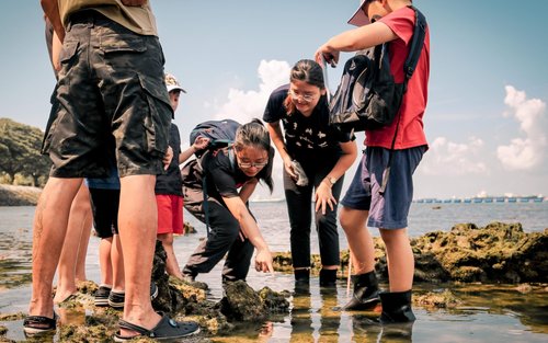 Marine Scientist Day Camp in Singapore