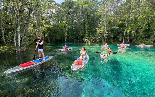 Kayak or Paddle Board Gator Tour in Silver Springs
