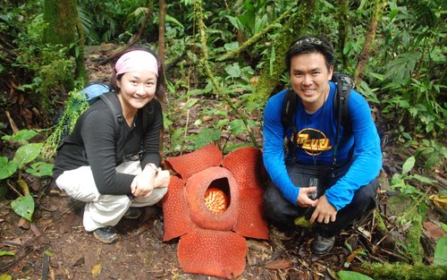 Rafflesia Half Day Trekking Trip or Hidden Lojing Nature Excursion