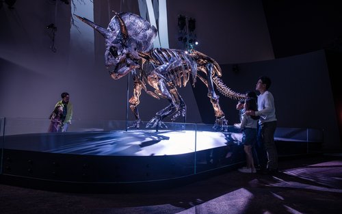 メルボルン博物館 入館チケット