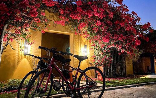 Riyadh Wadi Hanifa Full-Day Cycling Tour