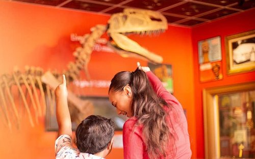 Ripley's Believe It or Not! Ticket in Niagara Falls
