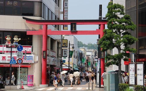 Tour gastronómico personalizable de medio día por Kamakura Komachi-Dori