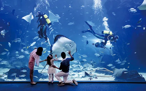 Aqua Planet Ticket in Ilsan