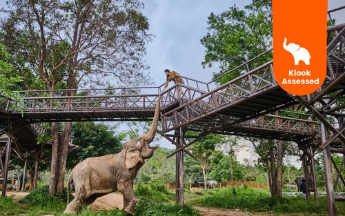 Expérience au Samui Elephant Kingdom