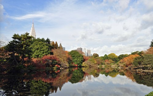 Shinjuku Gyoen Ticket in Tokyo
