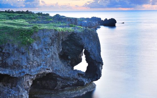 [한국어 가이드] [1인출발확정] 오키나와 북부 투어: 츄라우미, 만좌모 (수족관 티켓O) (지노투어)