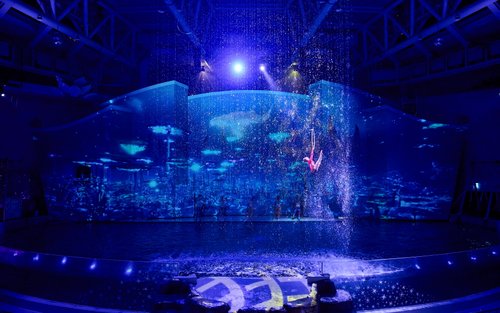 Biglietto Aqua Planet Jeju [solo per stranieri]