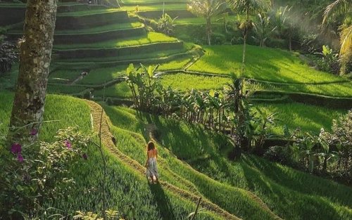 Das Beste von Ubud: Private Tagestour mit Kecak-Tanz
