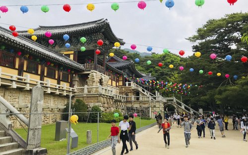 Heldagsutflykt från Busan till Gyeongjus historiska kungliga gravkomplex Daereungwon, Yangdong Village och Anapji