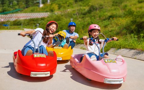 Incheon Day Tour from Seoul: Ganghwado Luge, Railbike, Seagull Ferry