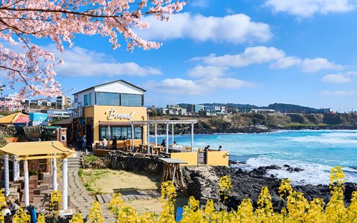 Jeju Island One Day Authentic Tour - WestSouth / East