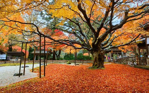 [Musim Terhad] Lawatan Sehari Yanagawa × Itoshima Pemandangan Indah | Pengalaman Menaiki Bot + Meotoiwa (Batu Suami Isteri) + Air Terjun Shiraito/Kuil Sennyoji Raizan + Dazaifu