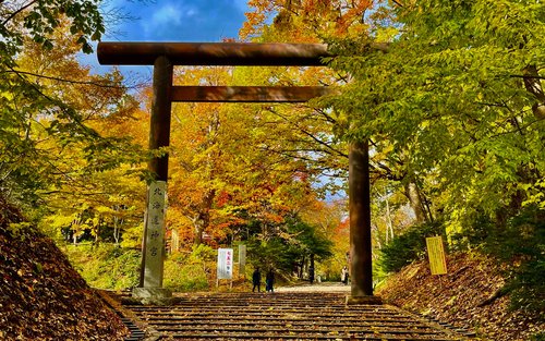 Sapporo Hokkaido Jingu 1-Hour Private Discovery