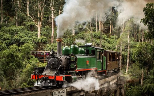 Puffing Billy & Penguin Parade Full-Day Chocolate & Wine Tasting Tour