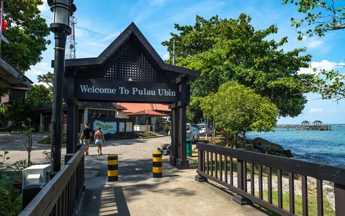Juuret ja maut: Pulau Ubinin löytö