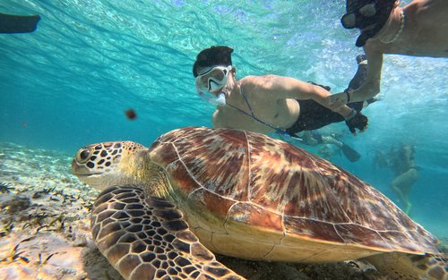 Top 10 Gili Trawangan Snorkeling 2026 - Klook