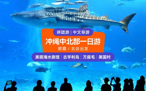 冲绳美丽海水族馆 ＆ 美国村之旅（那霸／北谷出发）