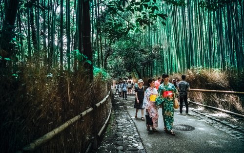 Kyoto Arashiyama Half-Day Pribadong Paglilibot