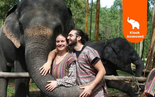 Naidee Elephant Care Park Experience in Phuket