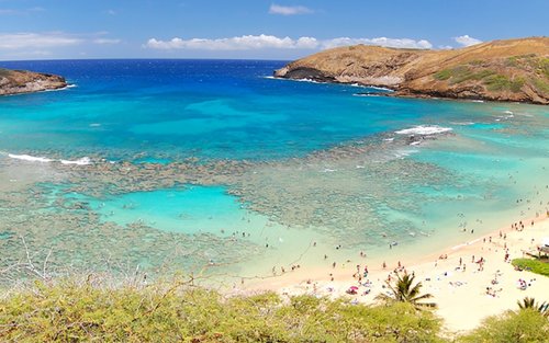 Majestic Circle Oahu Island Day Tour in Hawaii