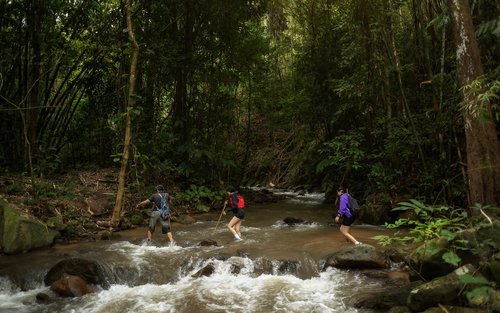 Chiang Mai: Siga o Rio em Chiang Dao, Caminhada de Dia Inteiro