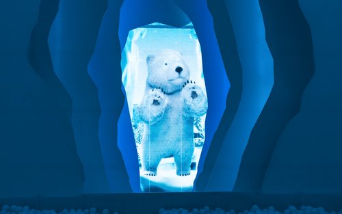 Glow Safari Media Art Exhibition in Anseong