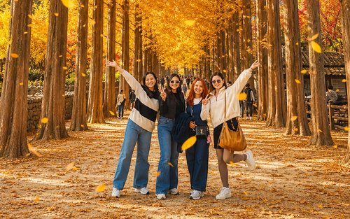 Hidden Autumn Foliage, Cafe Pokpo, Nami Island & More from Seoul