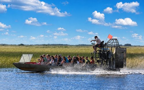 Miami Gator Park Half-Day Airboat Tour with Wildlife Show