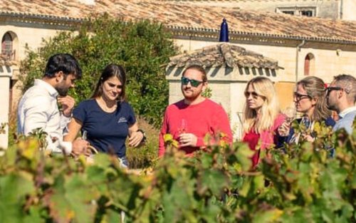 Tour nếm rượu vang nhóm nhỏ nửa ngày Bordeaux Saint-Émilion