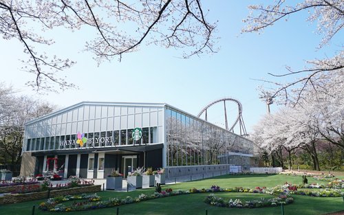 "HANA・BIYORI" Taman Bunga Sensasi Baru di Tokyo