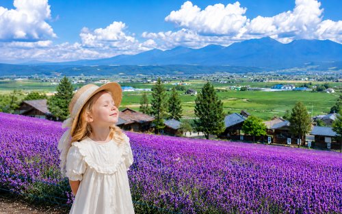 Biei & Furano Full-Day Flower Viewing Tour