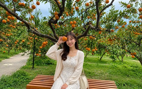 Miaoli Day Tour: Old Mountain Line Rail Bike, Zhuoye Cottage, Shengxing Station & Seasonal Special: Orange Forest Photos or Strawberry Picking