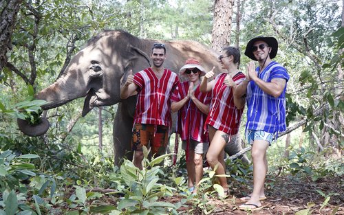 清邁大象保護區（Elephant Dream Project提供）