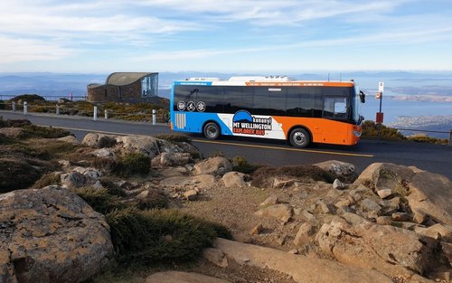 威靈頓山／庫納尼2.5小時遊覽 - 隨上隨下探索巴士
