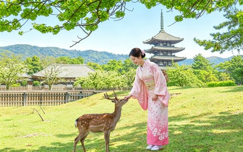 [Japán Kansai három ősi fővárosa egynapos kirándulás] Világörökség Todai-ji és Byodo-in és Fushimi Inari nagyszentély ezer torii kapuja & Nara Park aranyos szarvasai & Uji matcha élelmiszer utca (Oszaka/Kiotó indulás)