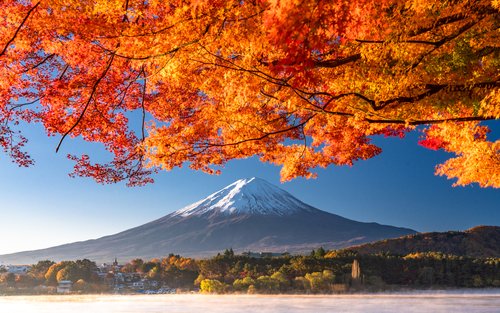 東京・富士山・白川郷・大阪 7日パス（Limon Bus提供）