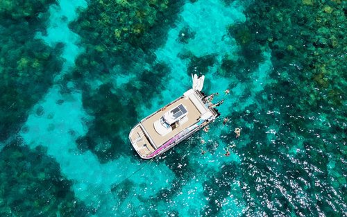 Tour di mezza giornata di puro snorkeling sulla Grande Barriera Corallina