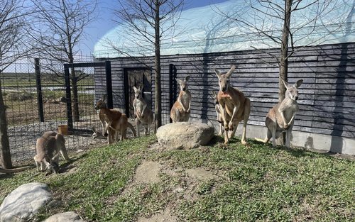 Yilan Lanyang Animal and Plant Kingdom Tickets