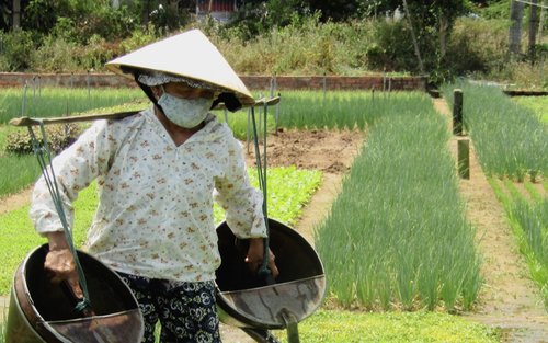 Tra Que, Thanh Ha Pottery, Cam Kim Village Tour with Aodai Rider