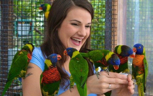Ingresso para o Bird Kingdom em Niagara Falls